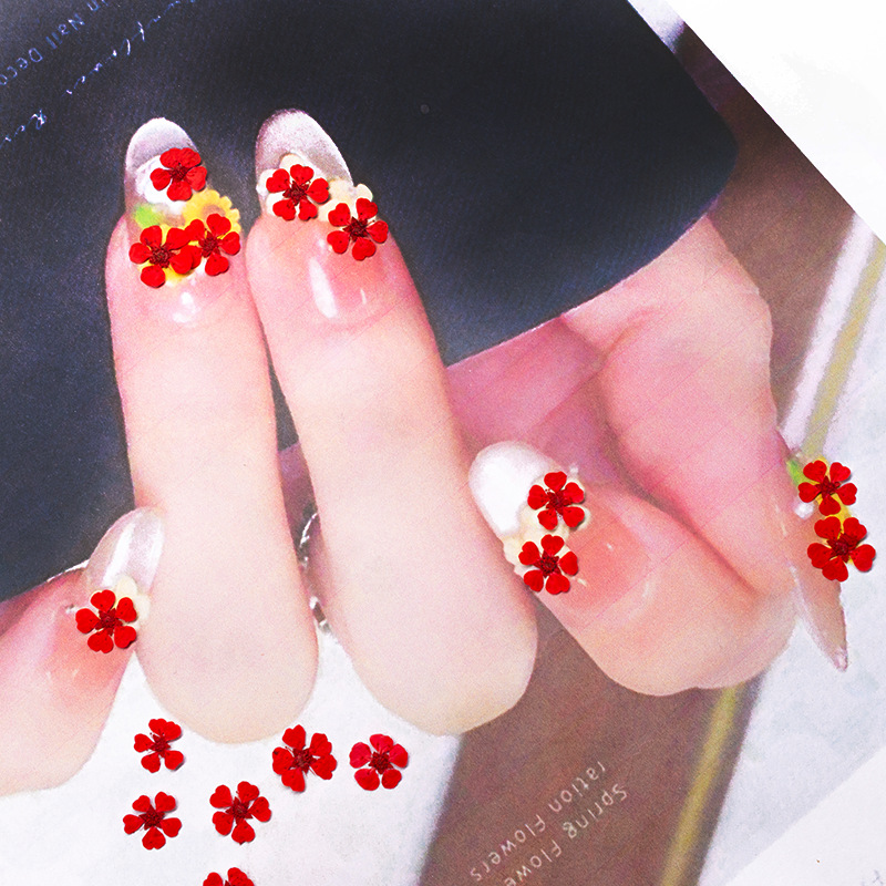 96 Peças Mini Flores Naturais  - Nail Art Natural avaliação e preço